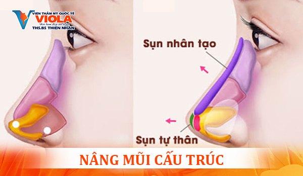 nang-mui-cau-truc