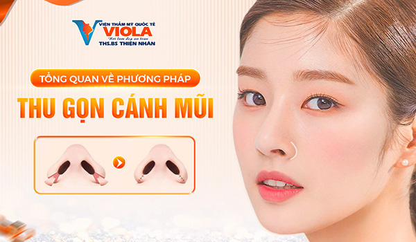 tong-quan-ve-thu-gon-canh-mui