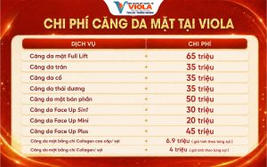 chi-phi-cang-da-mat-tai-viola